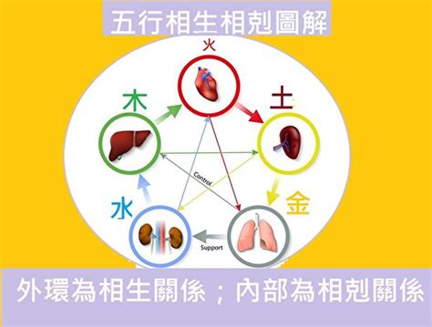 財官|【命理】命中滿盤財官 為何是個貧窮命？ 